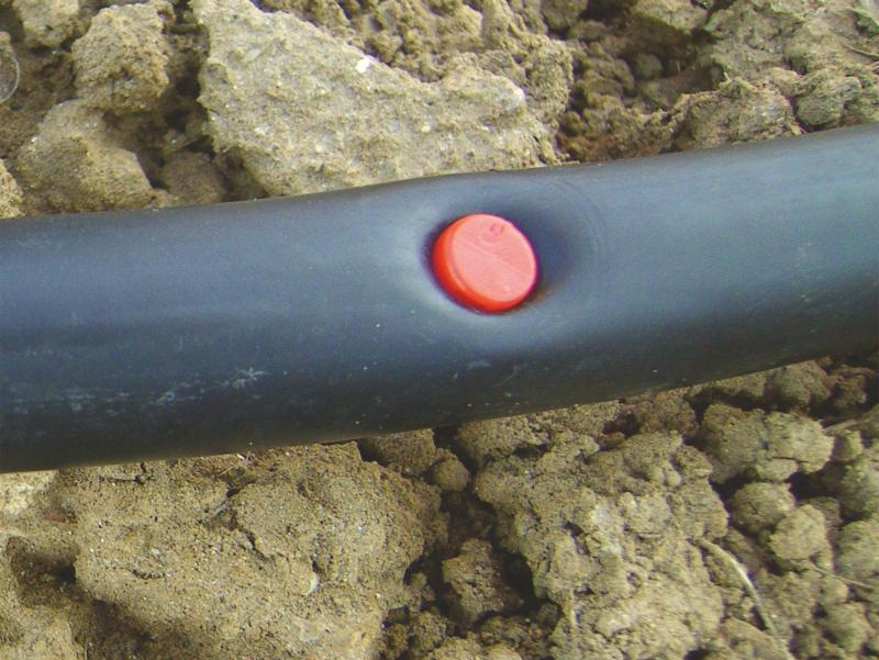 10x Stopfen Plug Stachel 10x Stopfen Plug Stachel