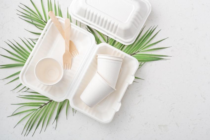 Ecological Packaging - Beispielbild mit Fast-Food Box