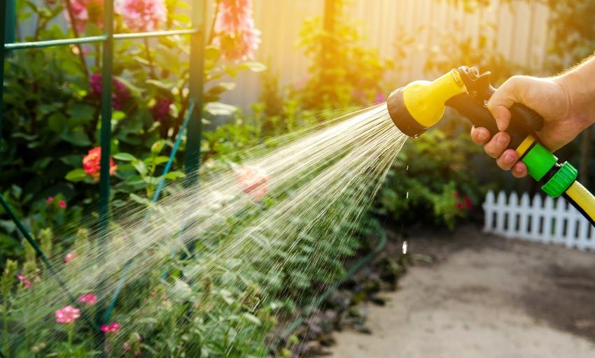 Wasserschlauch besprüht Pflanzen im Garten