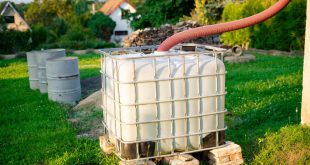 IBC im Garten - Beim Gartenwasser Geld sparen