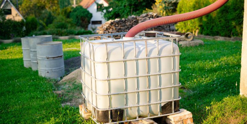 IBC im Garten - Beim Gartenwasser Geld sparen