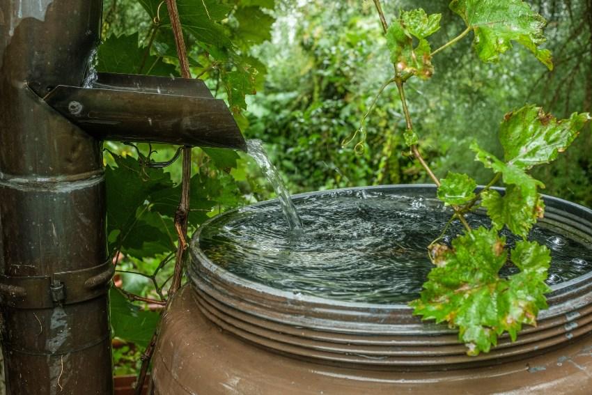 Regenwasser tritt über den Rand einer Regentonne - Überlaufstop bei Regensammlern verhindern dies