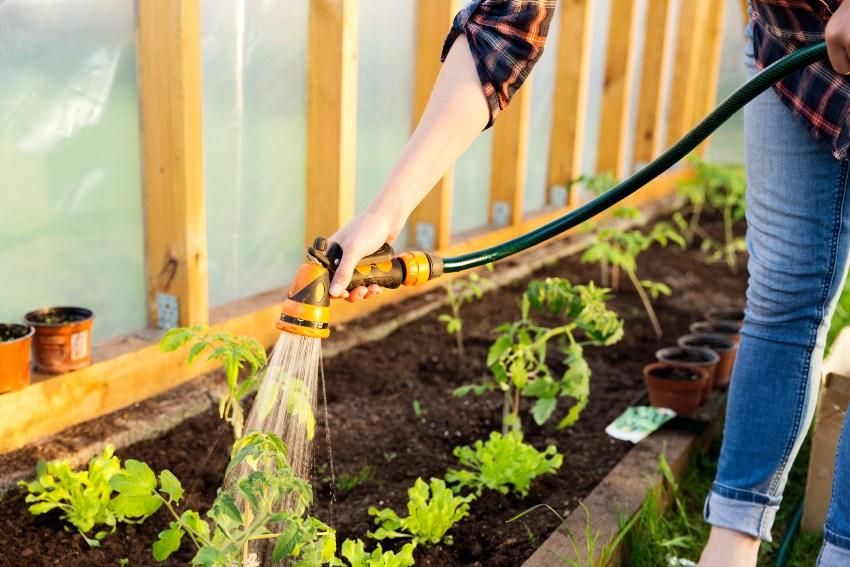 Frau gießt Beet mit Bewässerungsschlauch - Rohrverbinder für die Gartenbewässerung