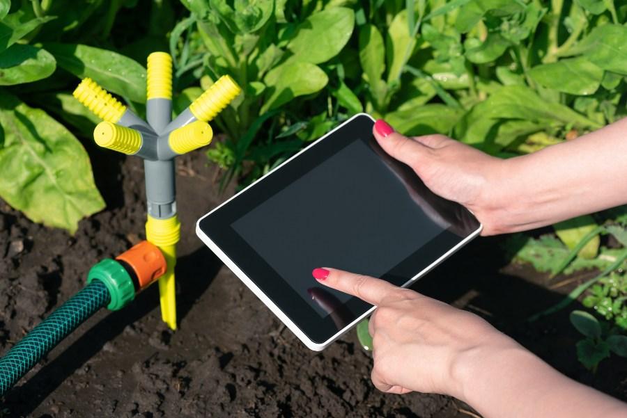 Jemand nutzt ein Steuergerät für die Gartenbewässerung