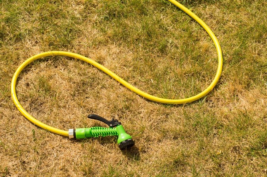 Gartenschlauch liegt auf verdorrtem Gras - Rasen sprengen bei Sonne