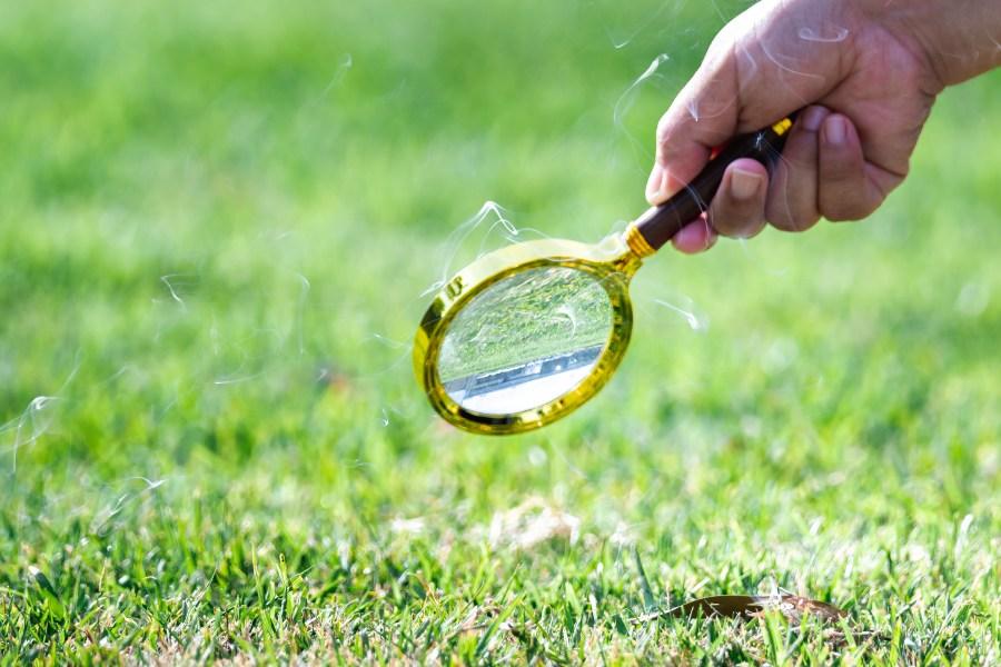 Lupe bringe Gras zum Qualmen - Rasen sprengen bei Sonne