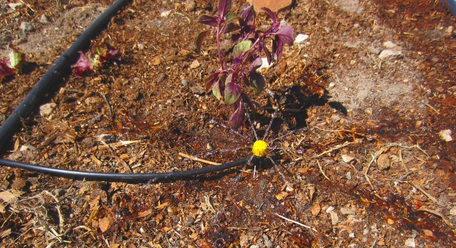 Gartenbewässerung, Mico-Bewässerung im Garten