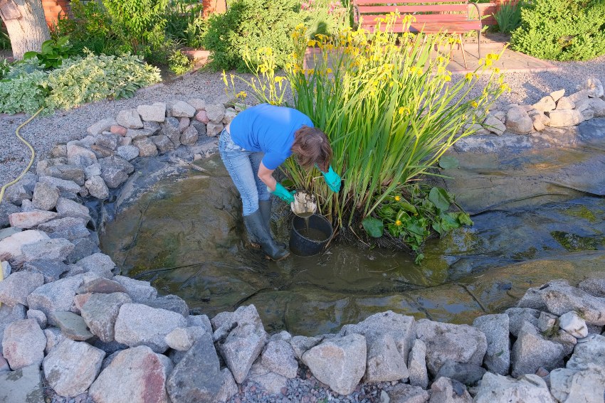 Frau pflegt ebenerdigen Teich - Den eigenen Hochteich bauen als Alternative