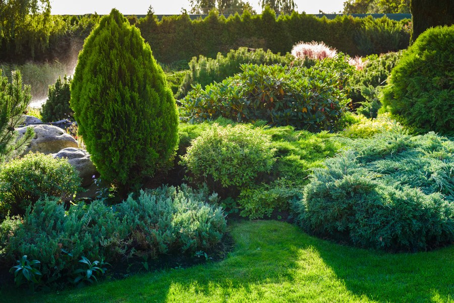 Büsche und Sträucher im Garten - Bedarfsgerechte Bewässerung von Sträuchern