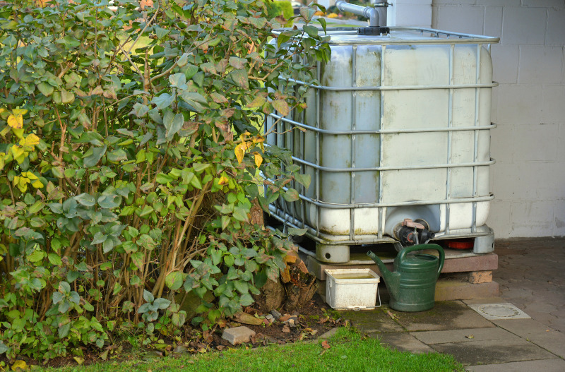 In einem Garten ist ein IBC Container an ein Fallrohr angeschlossen. Vor dem Gebinde steht eine Gießkanne