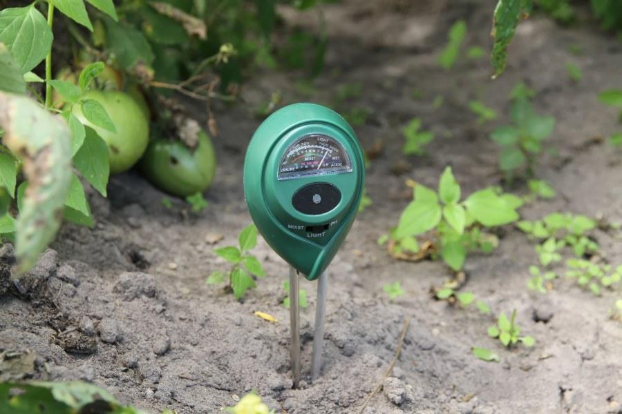 Bodenfeuchtigkeitsmessgerät im Garten