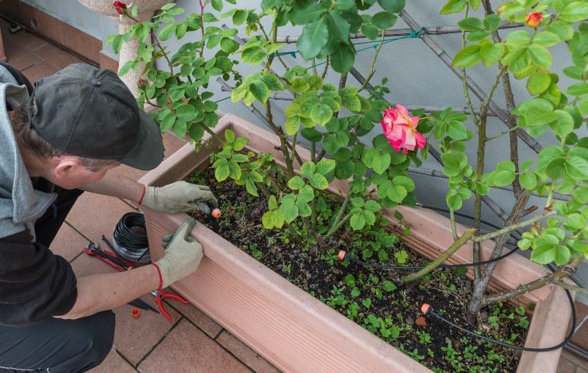 Jemand installiert Mikro-Bewässerung in Blumenkasten - Komfortable und nachhaltige Terrassenbewässerung