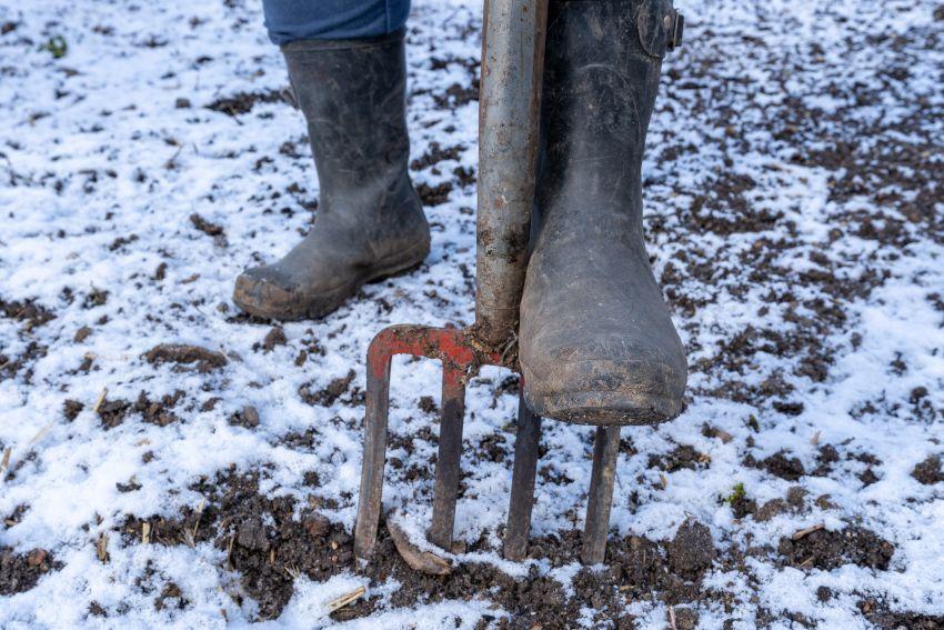 Mann sticht mit Forke in schneebedeckten Grund