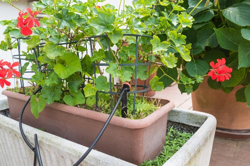 Mikrobewässerung auf dem Balkon - Winterbalkon und Terrasse fit für die kalte Jahreszeit machen