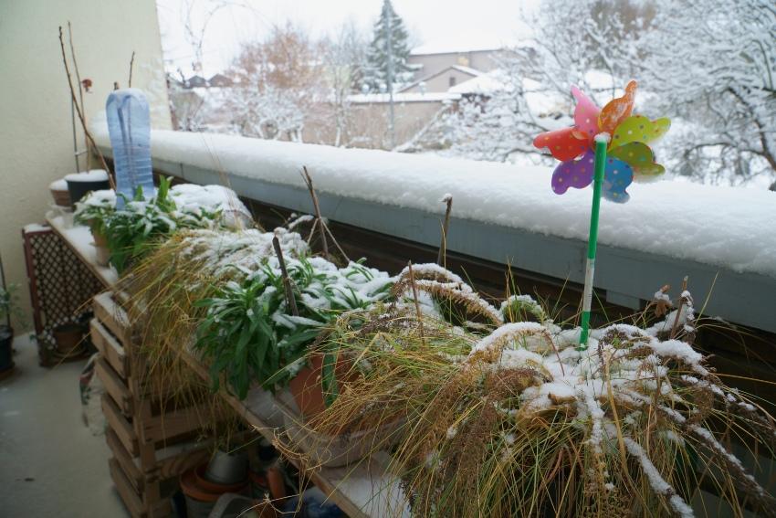 Winterbalkon mit Grünpflanzen im Schnee
