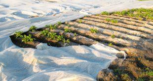 Garten Folien fuer Frostschutz - Winterschutz