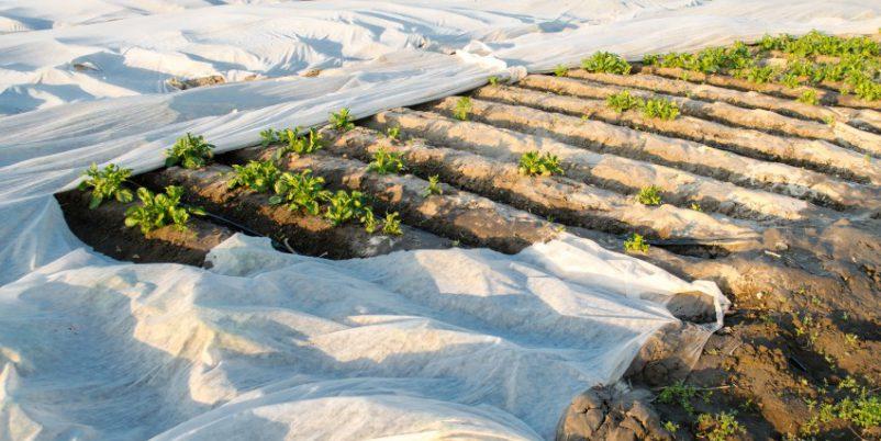 Garten Folien fuer Frostschutz - Winterschutz