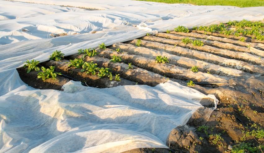 Garten Folien fuer Frostschutz - Winterschutz