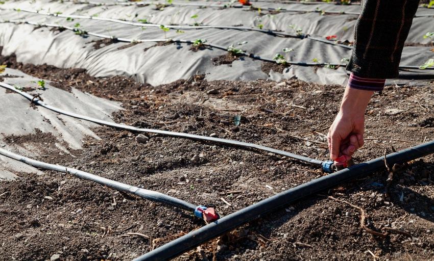 Wasserleitung-Gartenbewaesserung