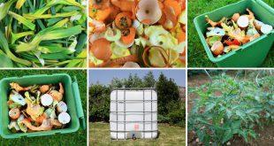 Garten-Nachhaltigkeit- Garten ökologisch gestalten