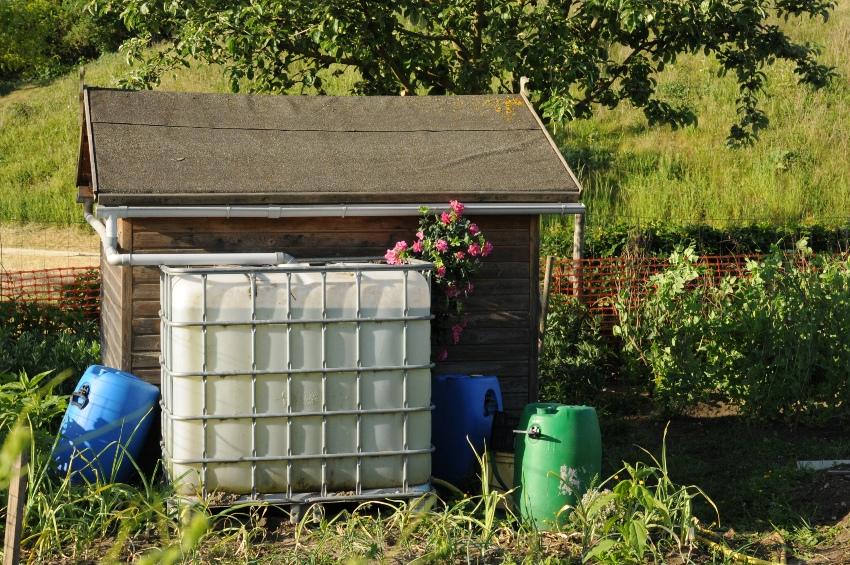 IBC-als-Regentonne - Die Regenwassersammelanlage im Eigenbau