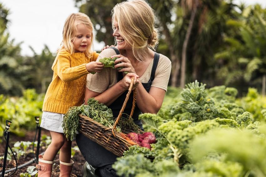 Mutter mit Tochter ernten Gemüse im Garten