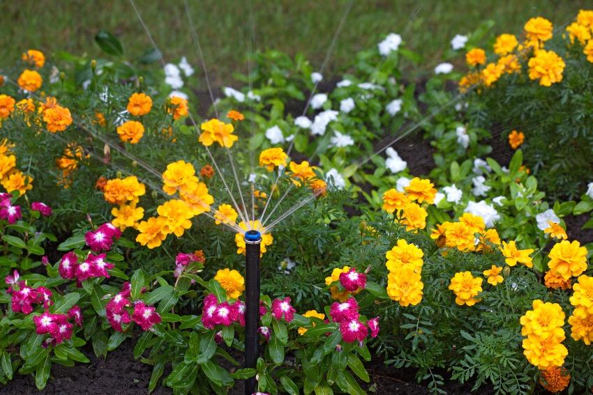 Blumenbeet-Bewaesserung