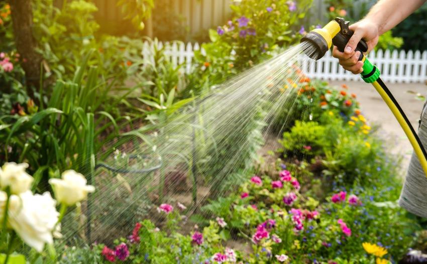 Garten-wird-gegossen - Regenwasserqualität