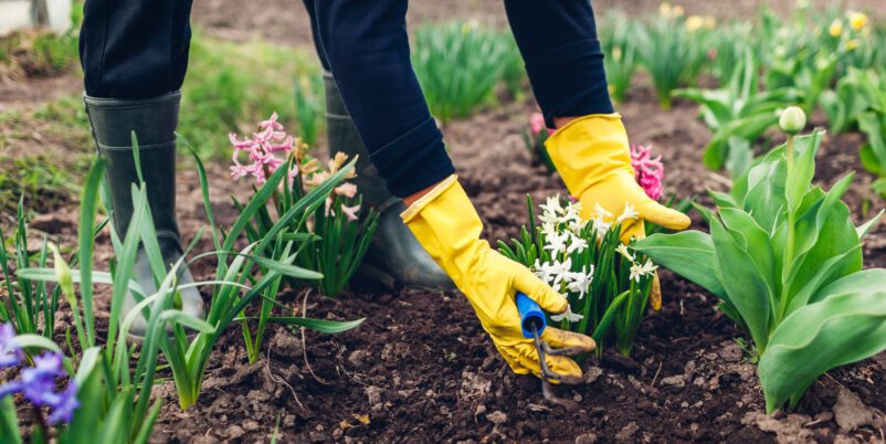 Gartenarbeit im April