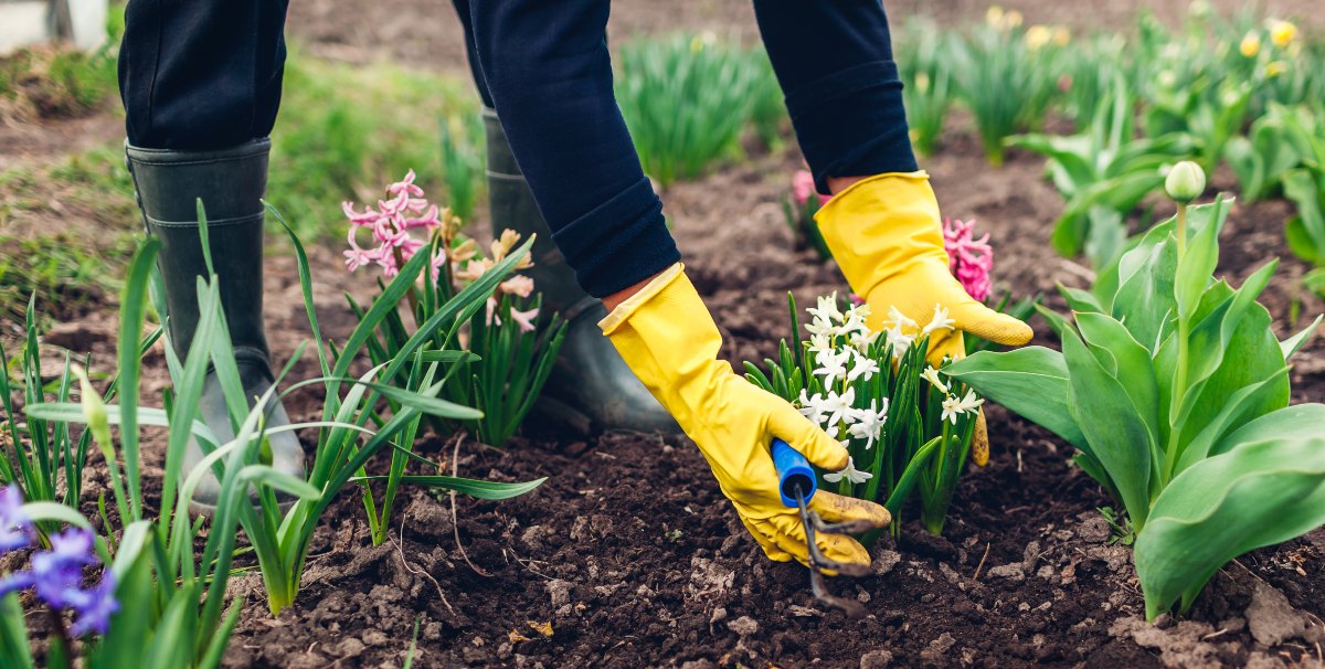 Gartenarbeit im April