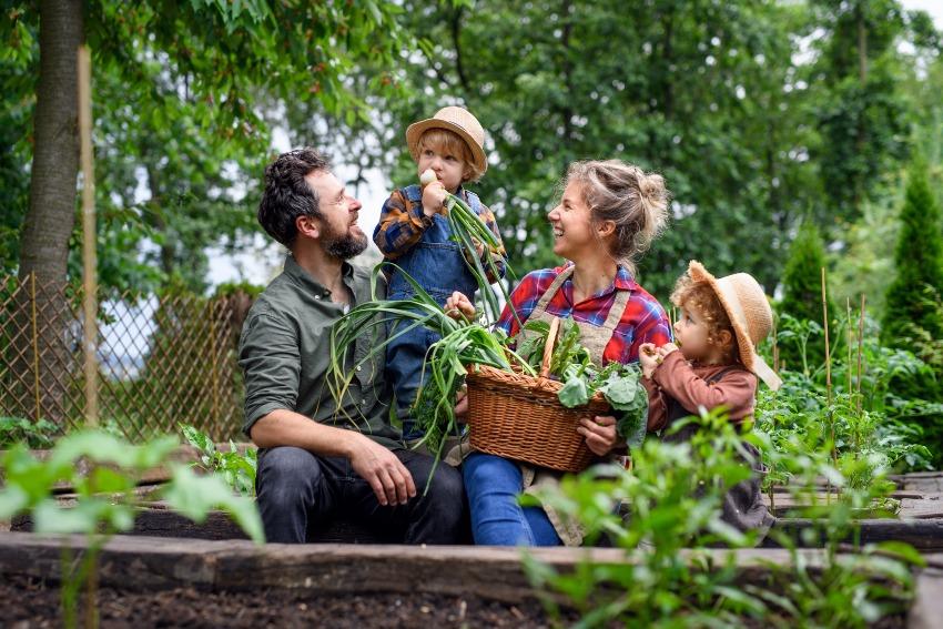 Familie im Gemuesegarten - Regenwasserqualität für Garten