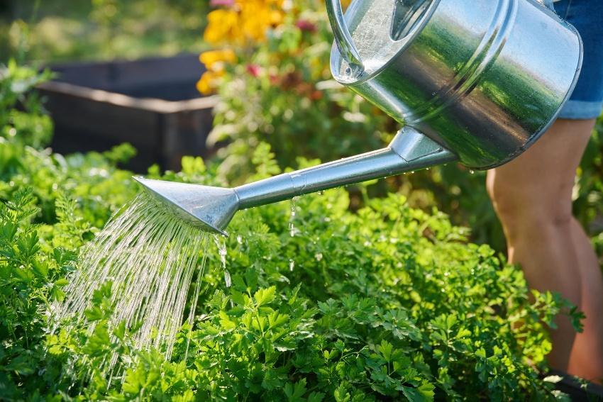 Wer sehr viel Zeit hat, kann natürlich auch mit der Gießkanne individuell Bewässern Garten-Giesskanne