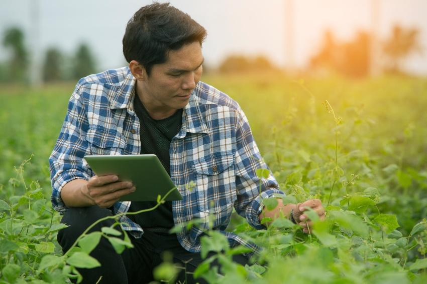 Für die Gartenbewässerung gibt es inzwischen smarte Systeme, die komfortabel und zuverlässig sind Mann im Beet mit Laptop in der Hand