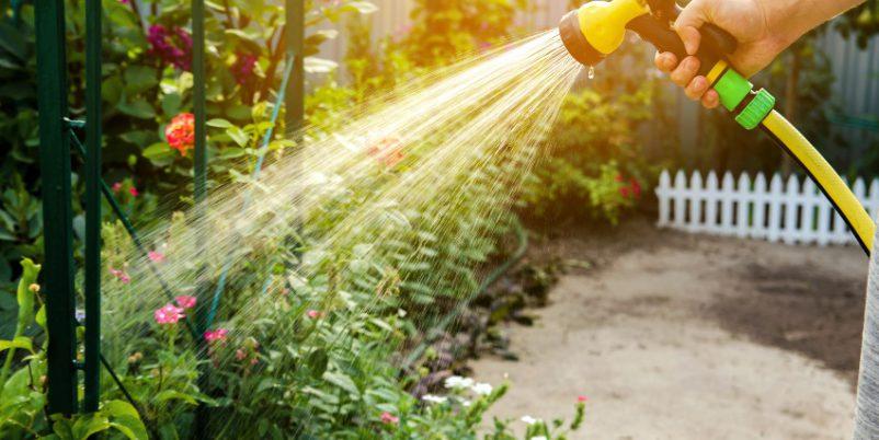 Gartenbewaesserung-Wasser entkalken für Pflanzen