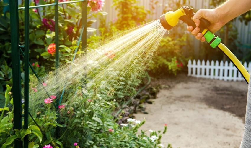 Gartenbewaesserung-Wasser entkalken für Pflanzen