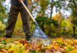 Herbst-Blaetter-kehren