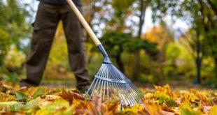 Herbst-Blaetter-kehren