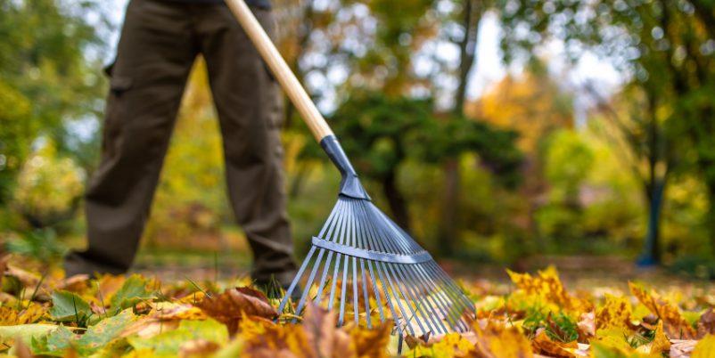 Herbst-Blaetter-kehren