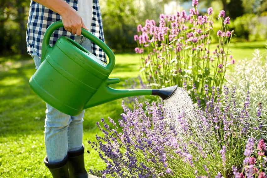 Junge-Frau-giesst-Blumen