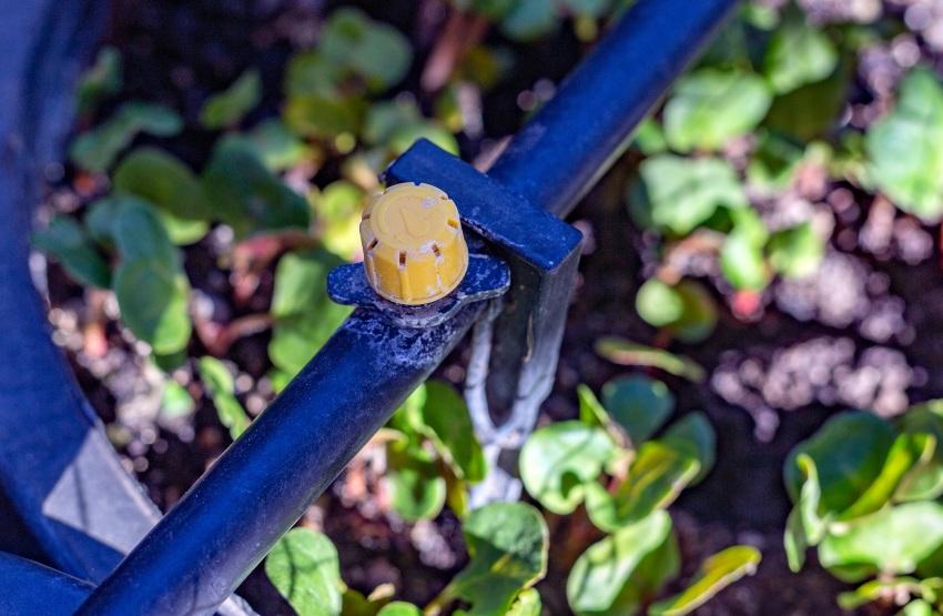 Tropfer mit Verkalkungsspuren - Wasser entkalken für Pflanzen