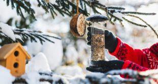 Garten-Januar-Vogelhaeuschen-auffuellen