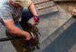 Mann-nutzt-Tauchpumpe - Die Tauchpumpe reparieren
