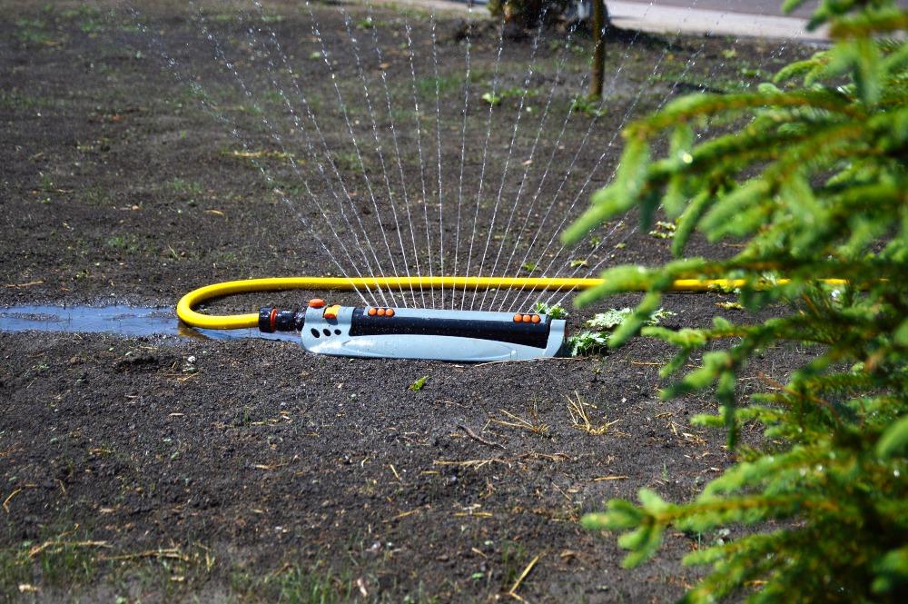 Junge Rasensaat braucht gleichmässige, sanfte Bewässerung – nur so bleiben die Keimlinge feucht und können kräftig wachsen Rasensamen-Bewässerung