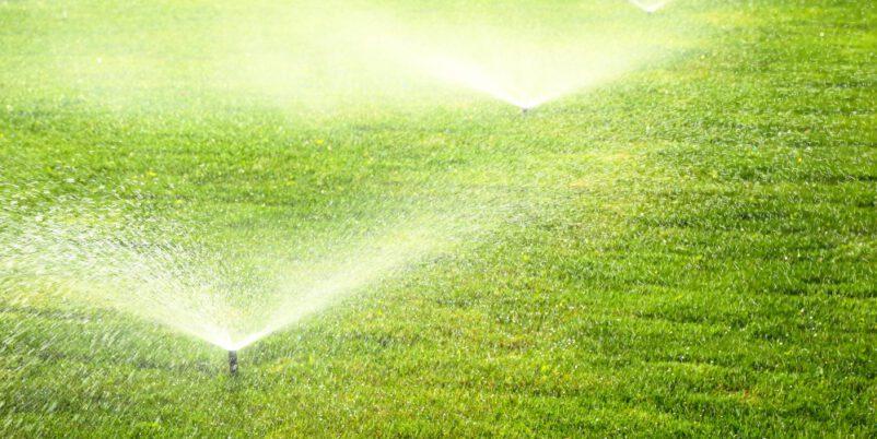 Wie-viel-Wasser-braucht-der-Rasen