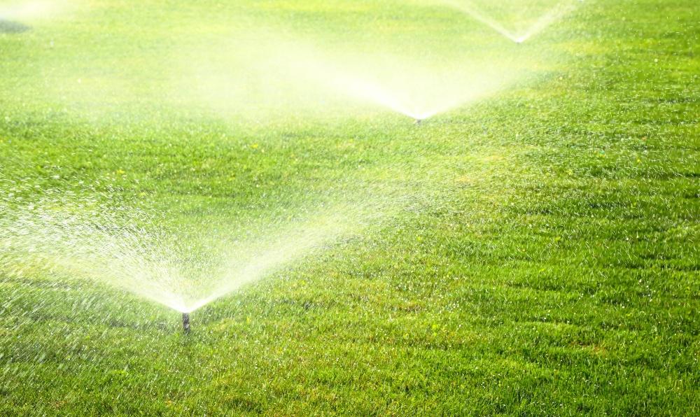 Wie-viel-Wasser-braucht-der-Rasen