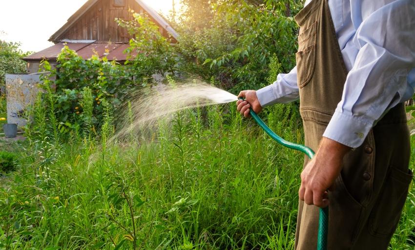 Mann-bewaessert-Garten - Wasserdruck des Gartenschlauchs