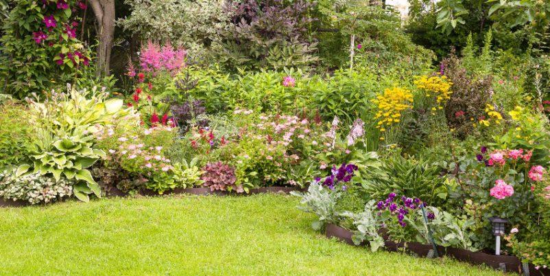 Bunter-Garten