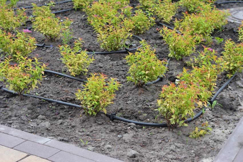 Garten-Schlauchbewaesserung Garten-Schlauchbewaesserung - Garten für Trockenheit umgestalten