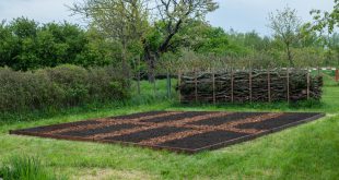 No-Dig-Gartenbeet