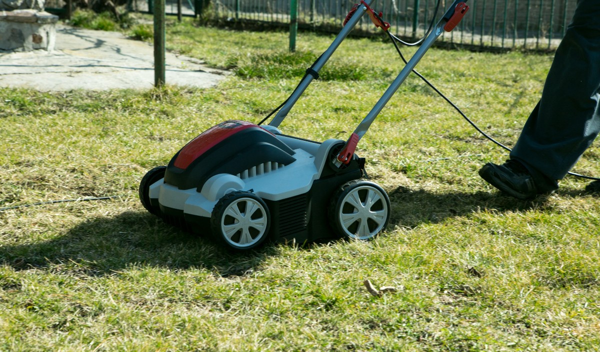 Rasen-vertikutieren
